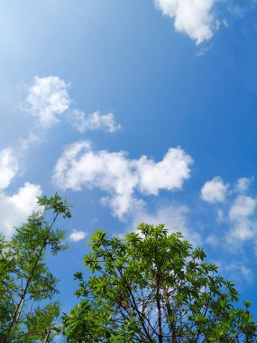 Mavi Gökyüzü bulutlu sabahleyin.