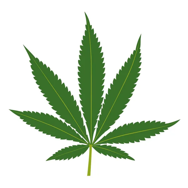 Cannabisblad geïsoleerd op witte achtergrond — Stockvector