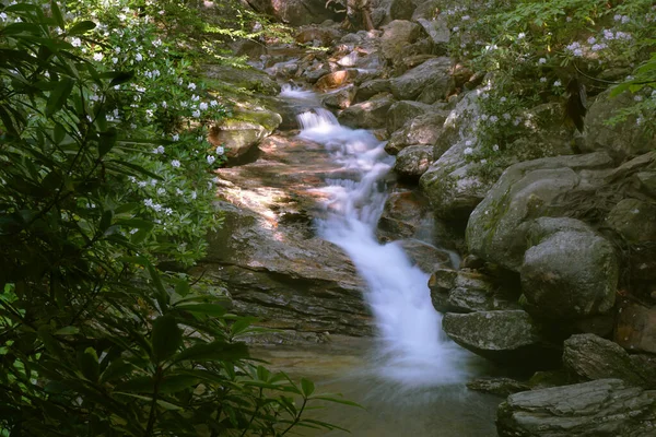 Movimiento Agua Borrosa Cascada Por Cascada Skinny Dip Carolina Del — Foto de Stock