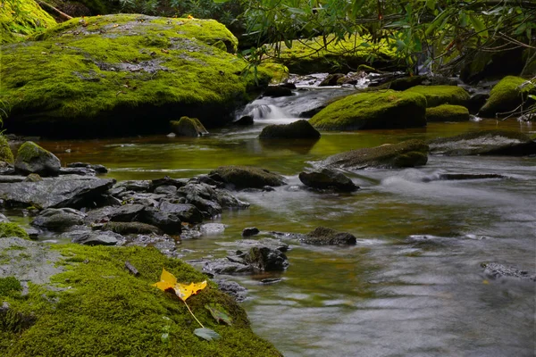 Movimiento Agua Borrosa Que Fluye Sobre Las Rocas Cubiertas Musgo — Foto de Stock