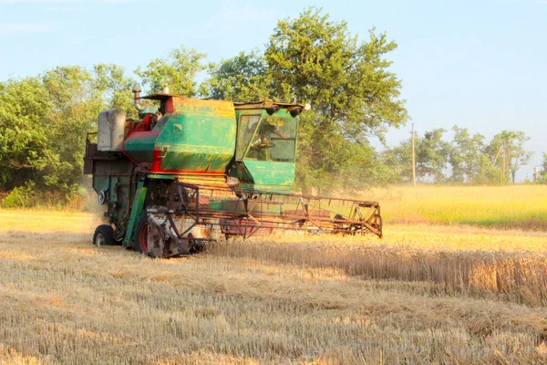 Récolte Ukraine Combiner Moissonneuse Batteuse Blé Dans Champ — Photo