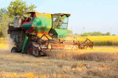 Ukrayna 'da hasat, tarlada biçilen buğday hasadını birleştirdi.