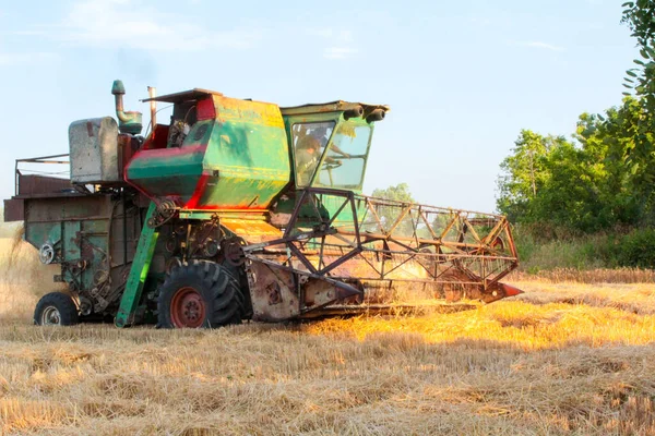 Récolte Ukraine Combiner Moissonneuse Batteuse Blé Dans Champ — Photo