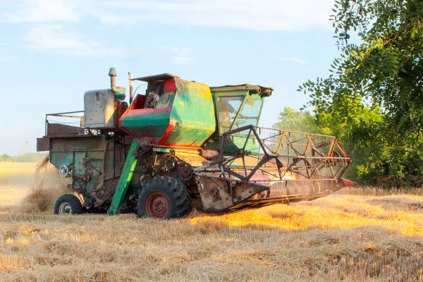 Harvesting Ukraine Combine Harvester Mows Wheat Field — Stock Photo, Image