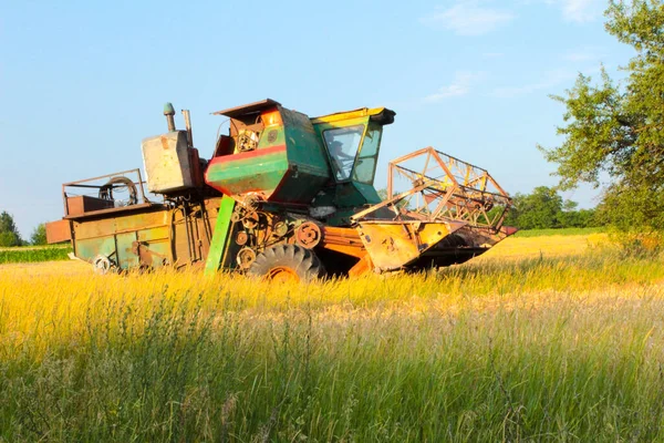 우크라이나 추수하는 사람들 밭에서 수확하는 — 스톡 사진