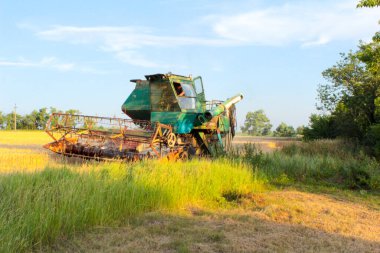 Ukrayna 'da hasat, tarlada biçilen buğday hasadını birleştirdi.