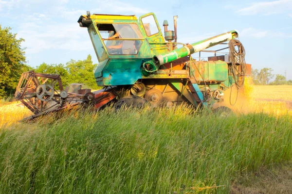 Συγκομιδή Στην Ουκρανία Συνδυάζουν Θεριζοαλωνιστική Χορτονομή Σιτάρι Στον Τομέα — Φωτογραφία Αρχείου