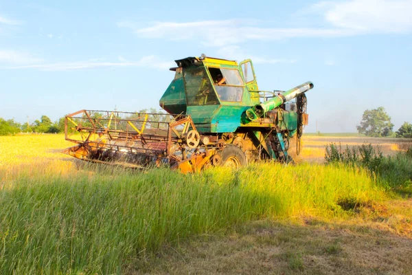 ウクライナでの収穫は フィールド内の収穫モウ小麦を組み合わせる — ストック写真