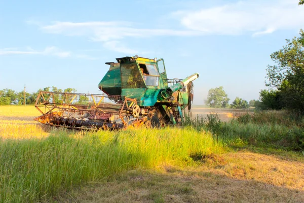 Récolte Ukraine Combiner Moissonneuse Batteuse Blé Dans Champ — Photo