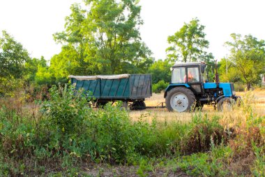 İçinde buğday yüklü bir traktör yükleme için bekliyor.