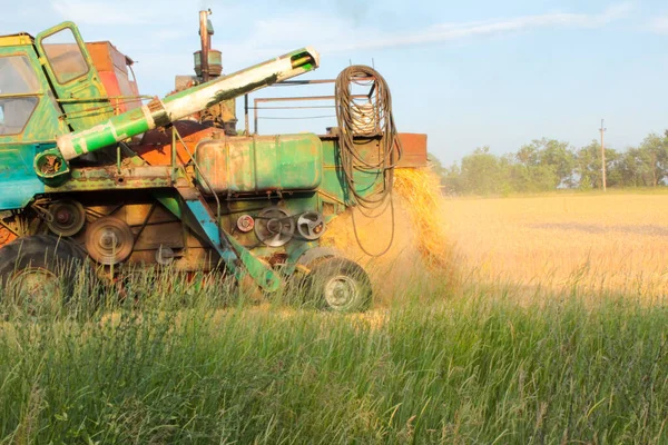 Récolte Ukraine Combiner Moissonneuse Batteuse Blé Dans Champ — Photo