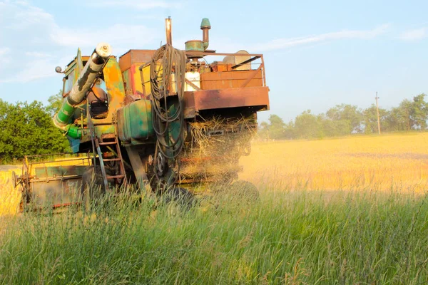 Сбор Урожая Украине Комбайном Косит Пшеницу Поле — стоковое фото