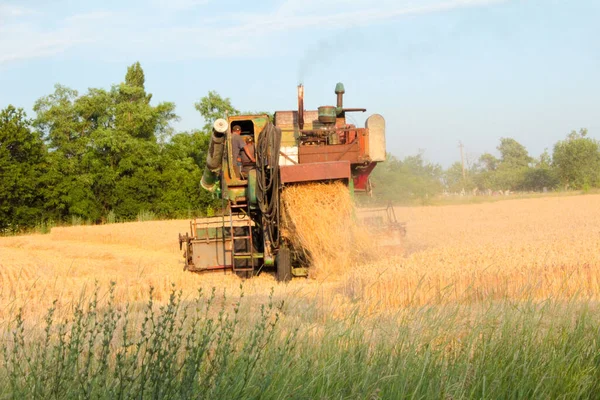 乌克兰的收获联合收割机收割田里的小麦 — 图库照片