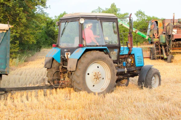 トラクターは小麦との組み合わせにロードするためにプルアップ — ストック写真