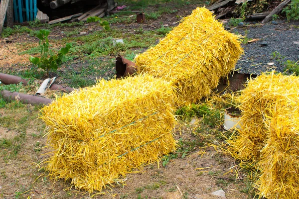 Stroh Aus Der Neuen Ernte Liegt Der Nähe Des Hofes — Stockfoto