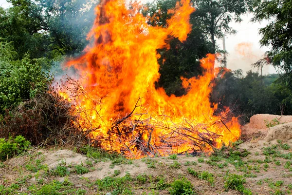 Limpando Território Que Queima Mato Ramos Árvore — Fotografia de Stock