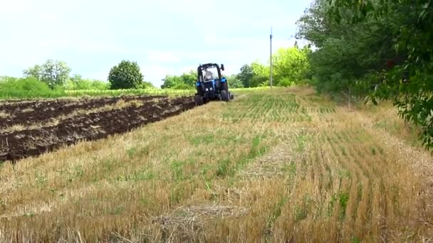 Es ist Zeit, das Land zu pflügen Traktor pflügt das Land Ukraine — Stockvideo