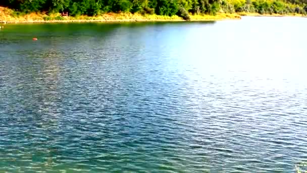 Teich in der Nähe der Stadt der Ukraine — Stockvideo