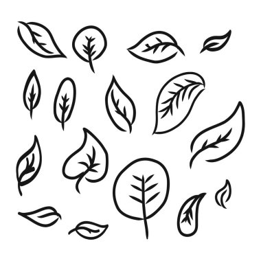 Herhangi bir yaratıcı tasarım için el yapımı yaprak koleksiyonu. vektör illüstrasyonu