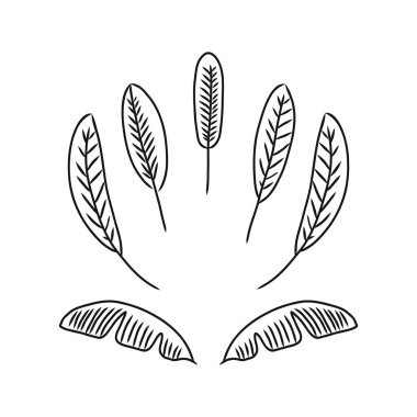 Herhangi bir yaratıcı tasarım için el yapımı yaprak koleksiyonu. vektör illüstrasyonu