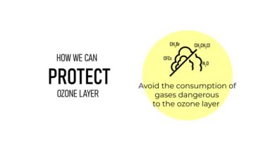 Ozon tabakasının korunması için Uluslararası Gün için hareketli grafik animasyon. Dünya ozonu günü. 16 Eylül