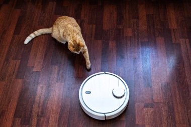 Kızıl kedi robot elektrik süpürgesinin temizliğini izliyor..