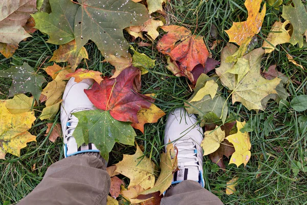 Gefallene Herbst Bunte Blätter Auf Dem Gras Unter Den Füßen — Stockfoto