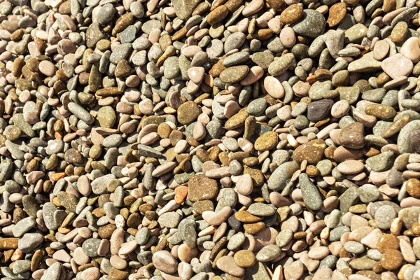 色とぬれた海の小石からの自然な背景 — ストック写真