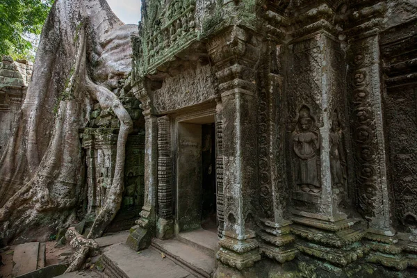 Angkor Wat Templos Camboya — Foto de Stock