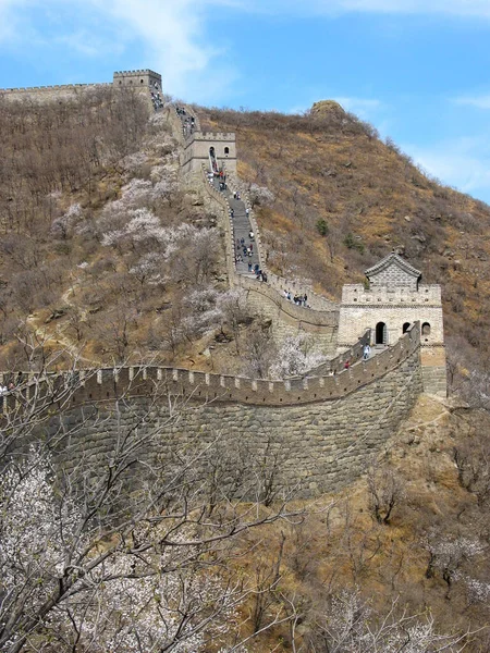 Grande Muraille Chine Pékin — Photo