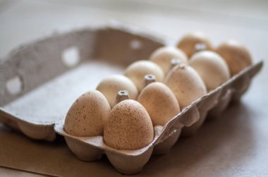 10 tane hindi yumurtası karton kutuda, vladivostok, Rusya