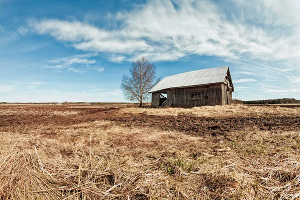 Der Frühling Kommt Den Norden Finnlands Die Natur Erwacht Langsam — Stockfoto