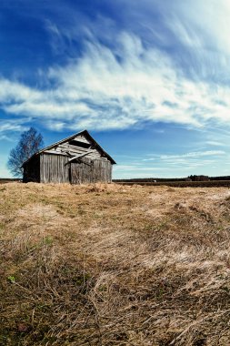 Eski bir ahır ev Kuzey Finlandiya'nın ilkbahar alanların duruyor. Hava daha sıcak oluyor ama doğa henüz uyandı değil.
