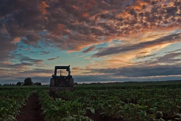 Velho Tractor Estacionado Nos Campos Para Estar Pronto Logo Manhã — Fotografia de Stock