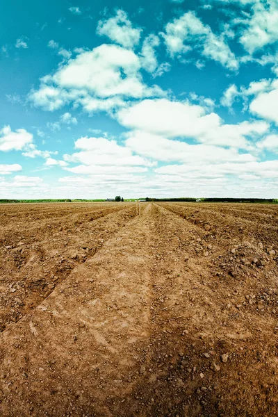 Sulcos Arados Campo Batatas Norte Finlândia Início Verão Mas Ainda — Fotografia de Stock