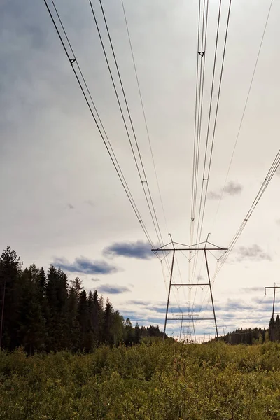 Massive Power Line Pylons Rise Fields Northern Finland Summer Sky — Stock Photo, Image