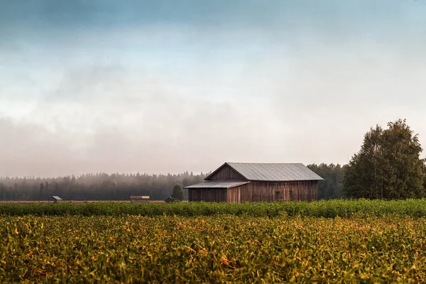 Cielo Despeja Lentamente Niebla Mañana Los Campos Finlandia Rural Las — Foto de Stock