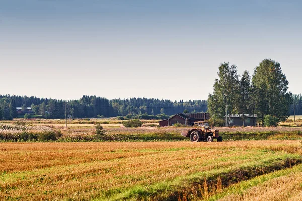 Ein Alter Traktor Bei Der Erntearbeit Auf Dem Feld Ländlichen — Stockfoto