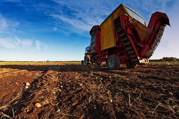 Patates hasat makinesi sonbahar alanları kırsal Finlandiya'nın eski bir traktöre bağlı. Bu hasat zamanı ve çiftçilerin meşgul onların alanların.