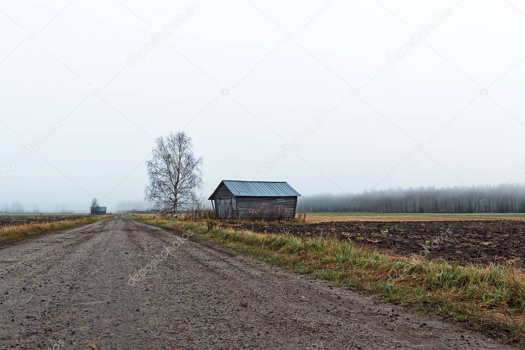 A bare birch tree stands by an old barn house at the rural Finland. The autumn mornings are cold and the mist is rising from the fields.