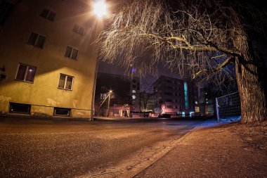 Yaşlı bir ağaç ıslak sokakta bir kış gecesi Tallinn, Estonya sermaye gölgeler. Yağmur yavaş yavaş kar erime ve sokaklar buz gibi yapma.