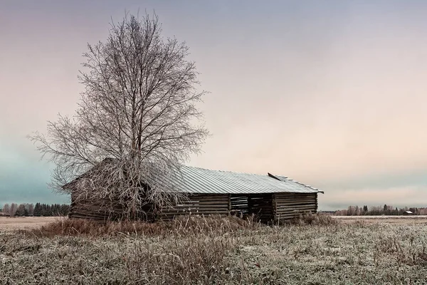 壊れた屋根の つの部分の納屋ハウスは 農村のフィンランドの冷ややかなフィールドに立っています 寒い朝は 曇りの日になりつつあります — ストック写真