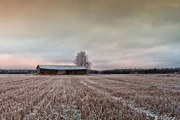 Two Part Barn House Stands Frosty Fields Rural Finland Early — Stock Photo, Image