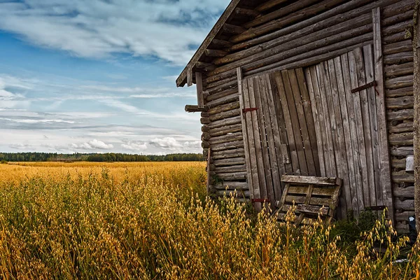 Portas do celeiro e campo de centeio — Fotografia de Stock