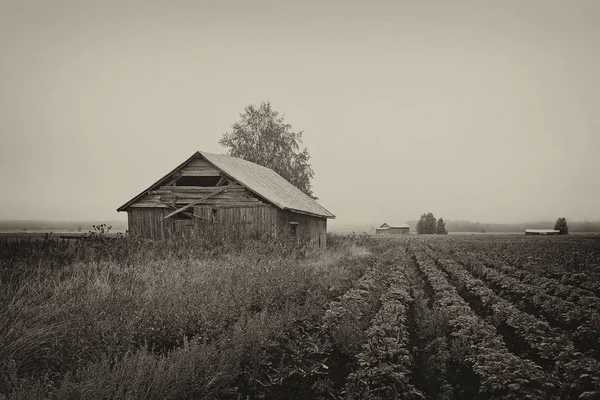 Vecchie case fienile su una mattina nebbiosa — Foto Stock