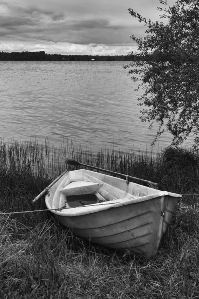 Velho Barco Remo Encontra Costa Junto Lago Finlândia Rural Sol — Fotografia de Stock