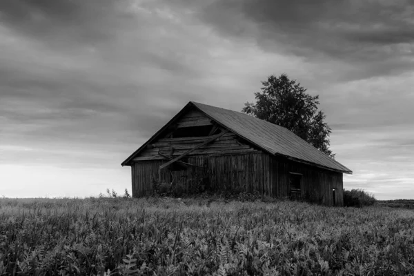 Soleil Été Couche Derrière Une Ancienne Grange Abandonnée Dans Nord — Photo