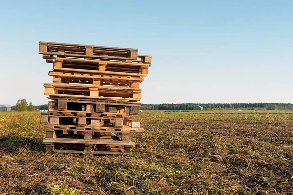 Farmer Has Left Pile Wooden Pallets Fields May Waiting Potato — Stock Photo, Image