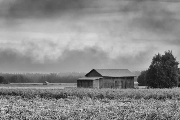 秋天的大雾从芬兰农村的田野中升起 秋天天气变冷时 浓雾从温暖的地面升起 — 图库照片