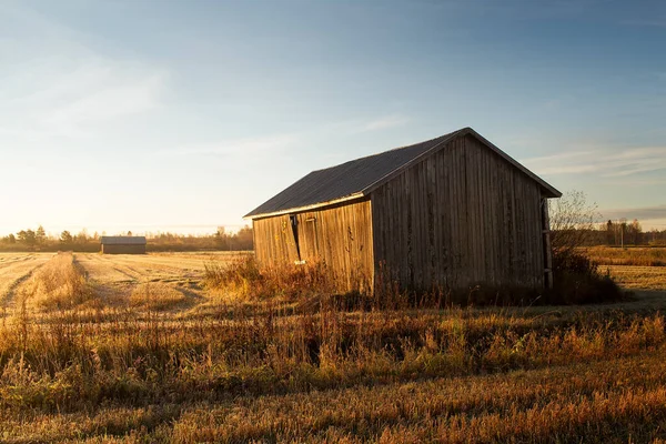 Las Antiguas Casas Graneros Están Los Campos Amanecer Otoño Luz — Foto de Stock